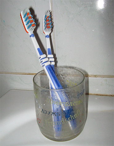 Everyone in the family should have their own toothbrush.