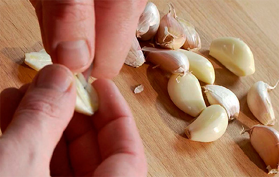 If you attach garlic to your hand, as it is advised to do folk recipes, then from a toothache this technique, of course, in most cases does not help.