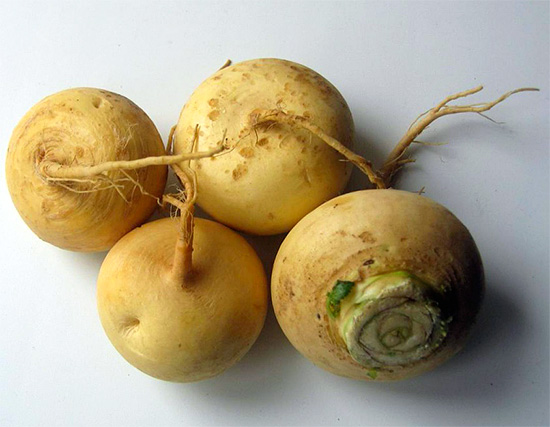A mouthwash of turnip can also be used to rinse your mouth.