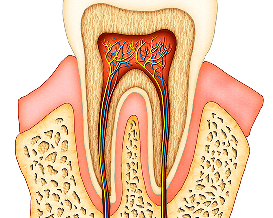 Sovint es pot produir dolor a causa de processos inflamatoris a la polpa de la dent