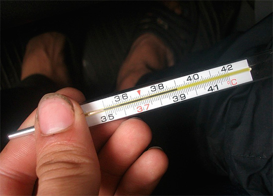 Sa temperatura na higit sa 38 degree, maaari itong ibagsak na may naaangkop na mga gamot na antipirina.