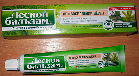 Toothpaste Forest Balm For gum disease
