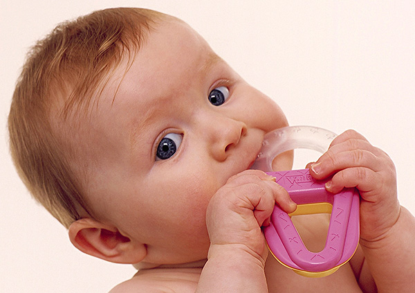 Aby ułatwić ząbkowanie, możesz użyć gumowych lub silikonowych stymulantów ząbkowania (gryzoni).