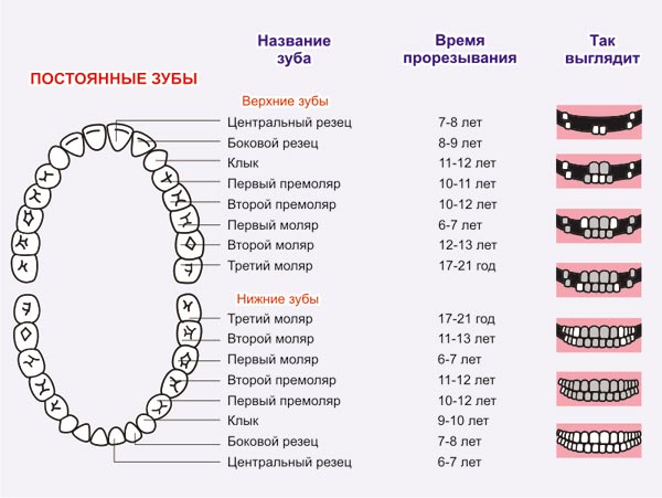 Hampaiden hammaslääketiede